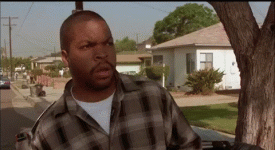 1693675714459.gif