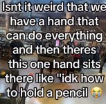 1693761205895.jpeg