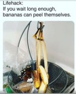 1693842363582.png