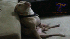 1693955481412.gif