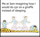 1694019766688.png