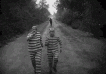 1694101086876.gif