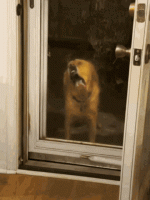 63D5954F-C9A3-40B5-83AC-560009A2869D.gif