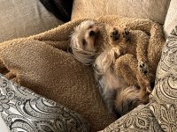 IMG_5152.jpeg