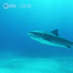1694452404642.gif