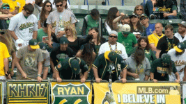 1694615799523.gif