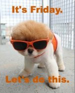 friday.jpg