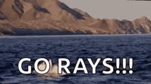 1694798725166.gif