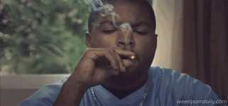 1694915488910.gif