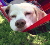 1694972027255.gif