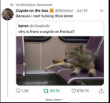 1695310234999.png