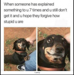 1695322283531.png