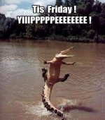 friday.jpg
