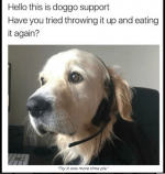 1695394798151.png