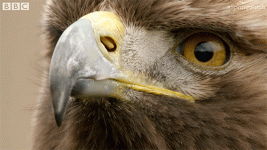 1695665580948.gif