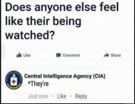 1696015815836.png