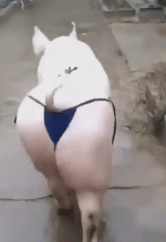 1696016643925.gif