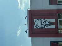 image.jpg