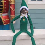 1642713229013.png