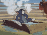 1696364131582.gif