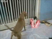 1696544308190.gif