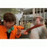 1696547738856.gif