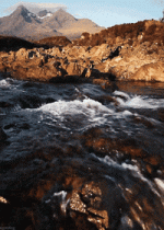 1697048793503.gif
