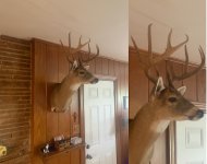 farm buck mount.jpg