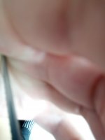 IMG_20231027_135536_895.jpg