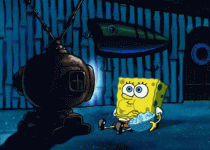 1698464102640.gif