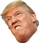 1698464559767.png
