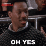 1698605043585.gif