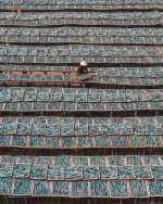 IMG_3612.jpeg