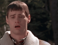 CACE2F28-3D98-44B7-85D8-CC504E0B577C.gif