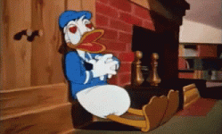 1699141274465.gif