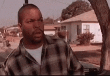 1699149857258.gif