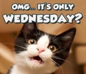 wednesday.jpg