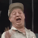 1699986572446.gif