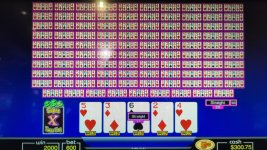 1000037020.jpg
