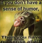1700086636655.png