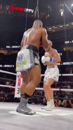 1700100402233.gif