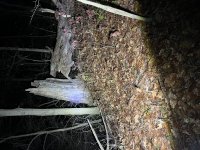 IMG_5762.jpeg