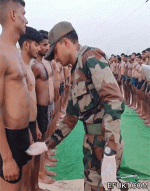 1700427458735.gif
