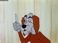 1700443492001.gif
