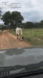 1700518666670.gif