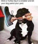 1700750001315.jpeg