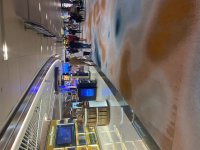 IMG_4677.jpeg