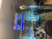 IMG_4683.jpeg