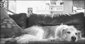1701047579767.gif