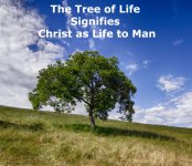 The-Tree-of-Life-Signifies-Christ-as-Life-to-Man.jpeg
